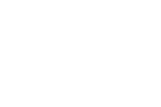Palanga 365
